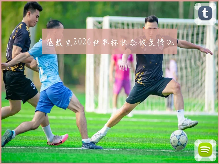 范戴克2026世界杯状态恢复情况