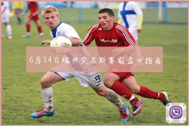 6月14日瑞典突尼斯赛前盘口指南