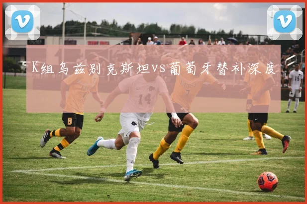 K组乌兹别克斯坦vs葡萄牙替补深度