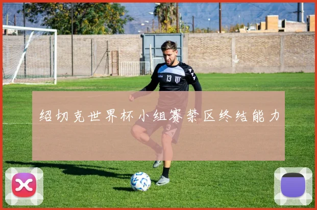 绍切克世界杯小组赛禁区终结能力