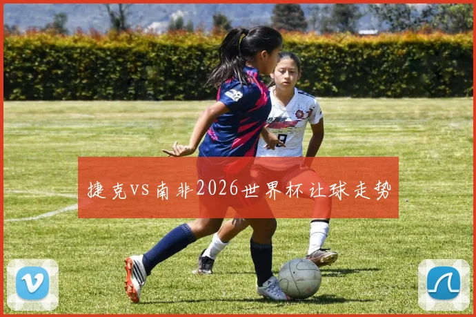 捷克vs南非2026世界杯让球走势