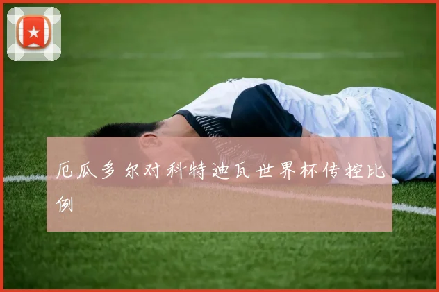 厄瓜多尔对科特迪瓦世界杯传控比例