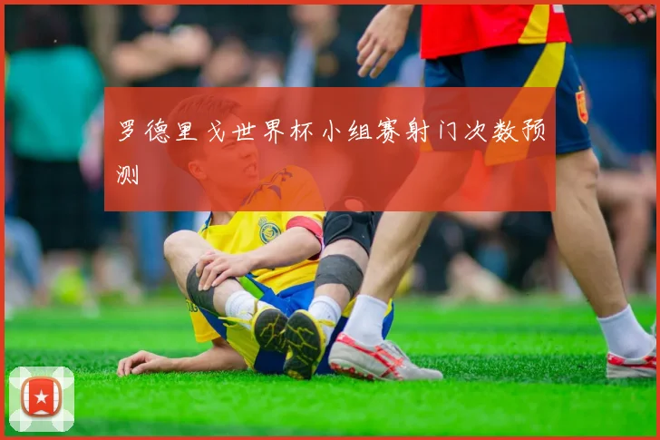 罗德里戈世界杯小组赛射门次数预测