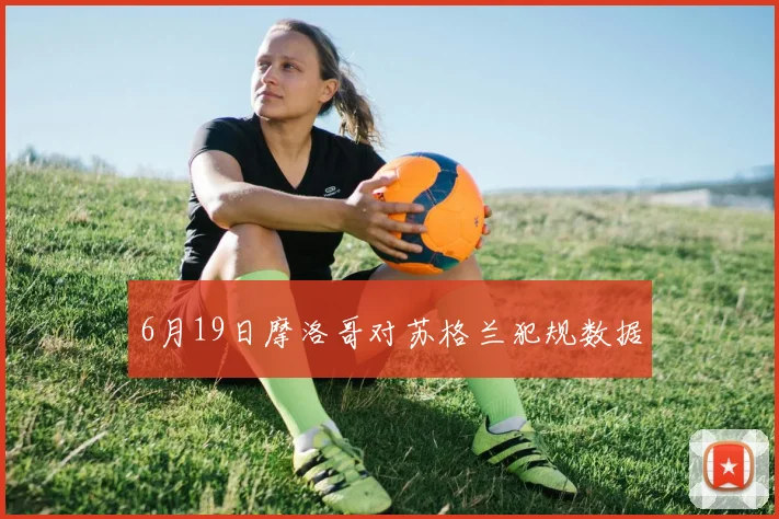 6月19日摩洛哥对苏格兰犯规数据