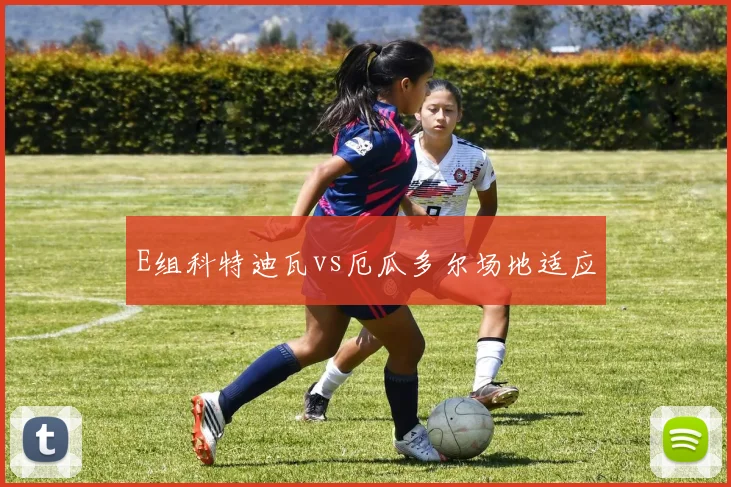 E组科特迪瓦vs厄瓜多尔场地适应