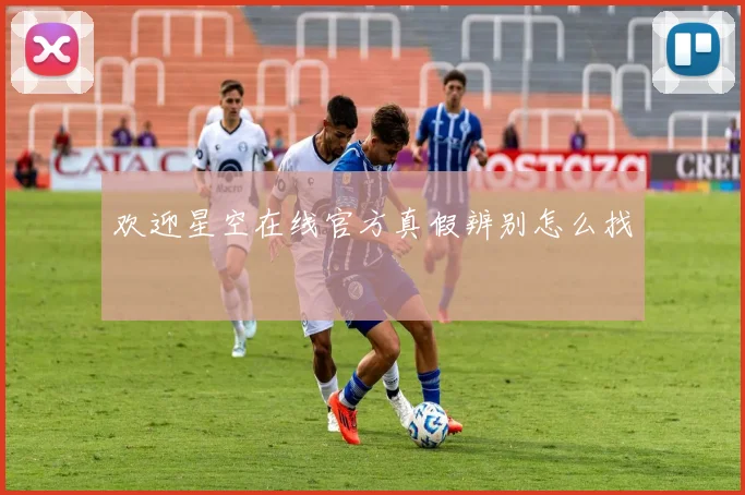欢迎星空在线官方真假辨别怎么找